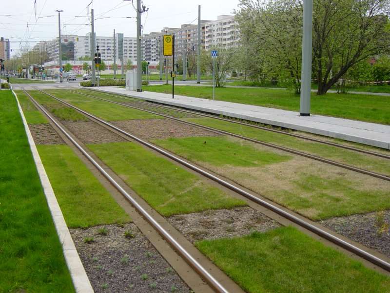 tram-on-grass-08