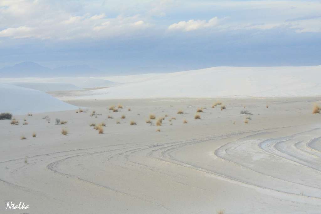 белые пески пустыни Нью Мехико white-sands-13
