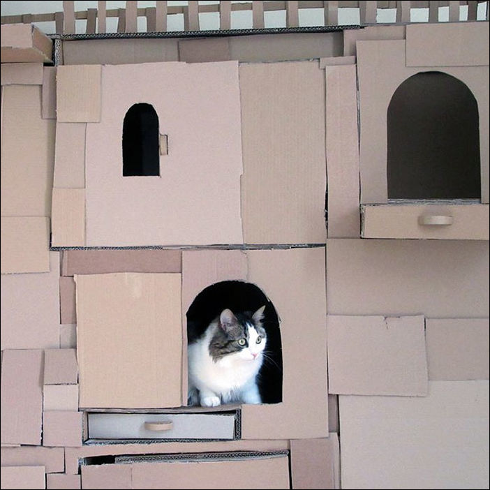 cat-castle-003