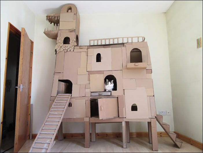 cat-castle-004