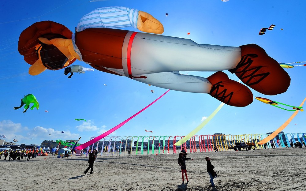 int-vozd-zmei-fest-02