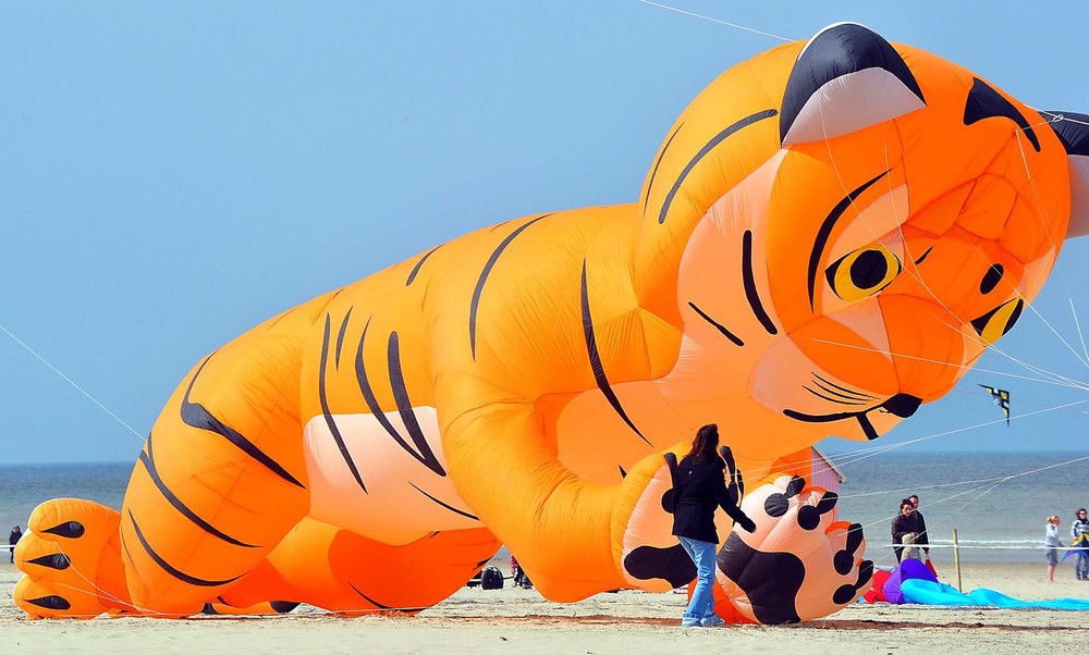 int-vozd-zmei-fest-03