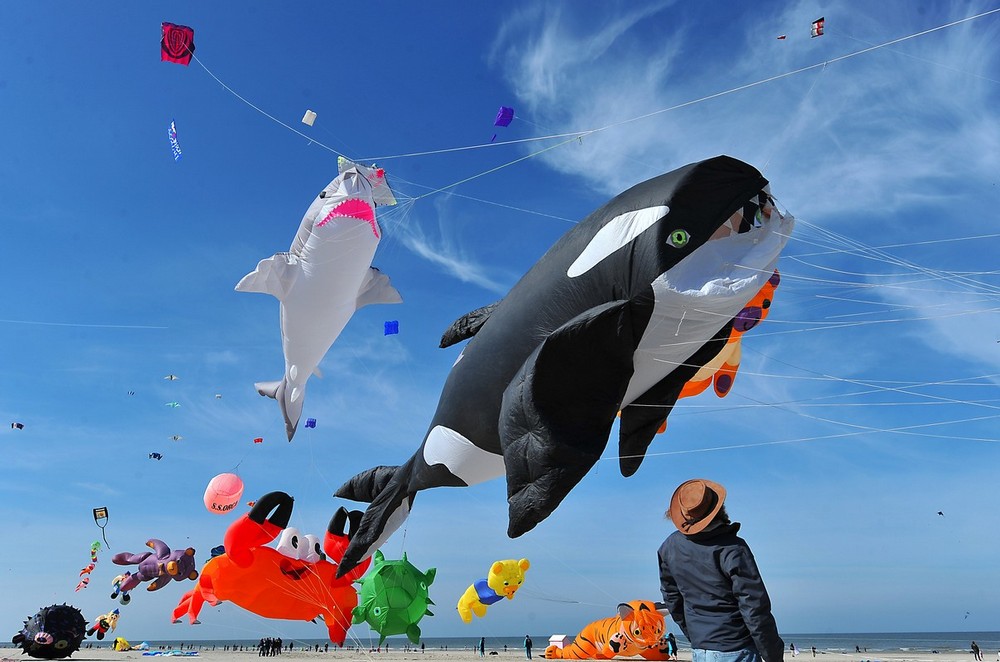 int-vozd-zmei-fest-04