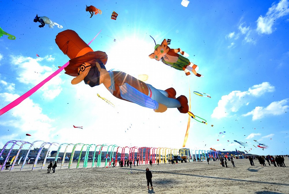 int-vozd-zmei-fest-05