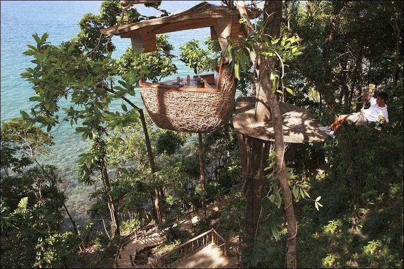 Ресторанчик на дереве