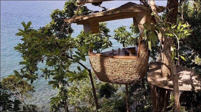 Ресторанчик на дереве