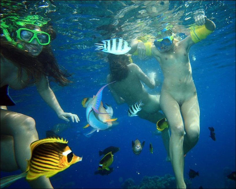 Голые на пляже