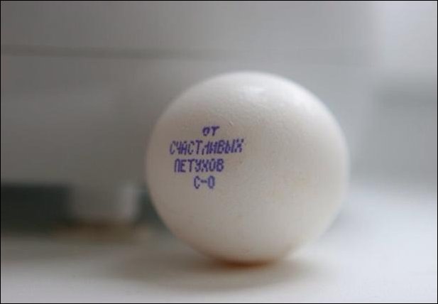 Прикольные надписи и объявления