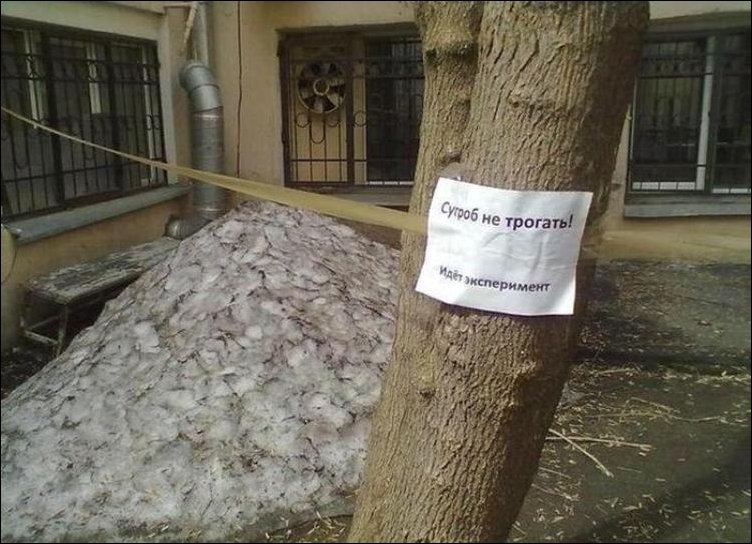 Прикольные надписи и объявления