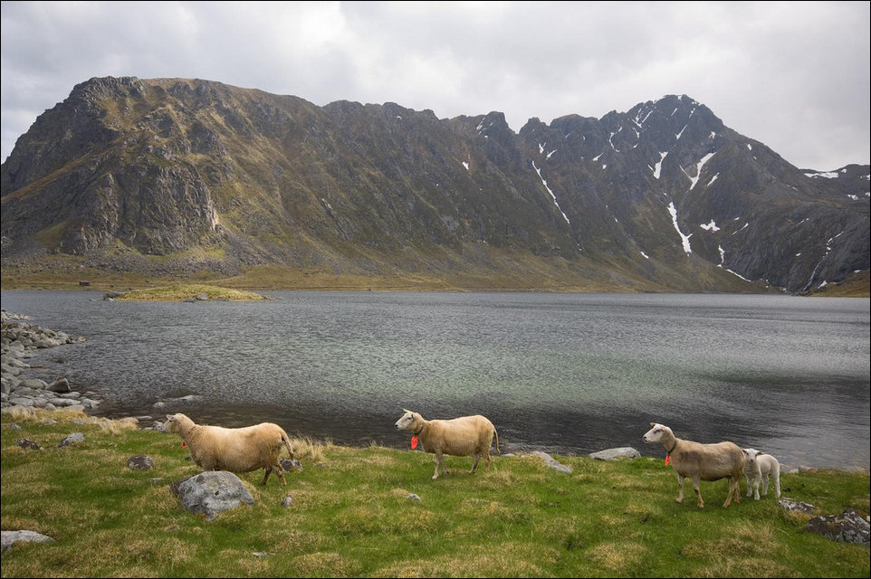 Пейзажи Норвегии