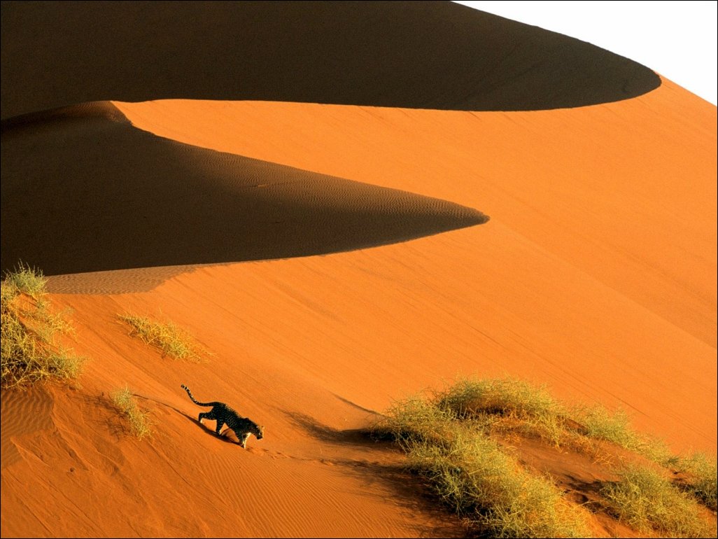 Подборка фотографий