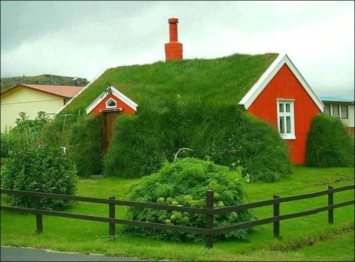 Подборка фотографий