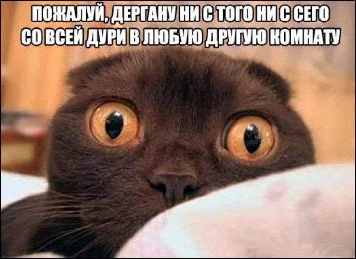 Подборка фотографий