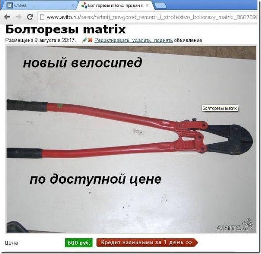 Подборка фотографий