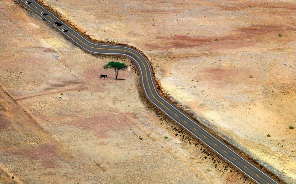 Подборка фотографий