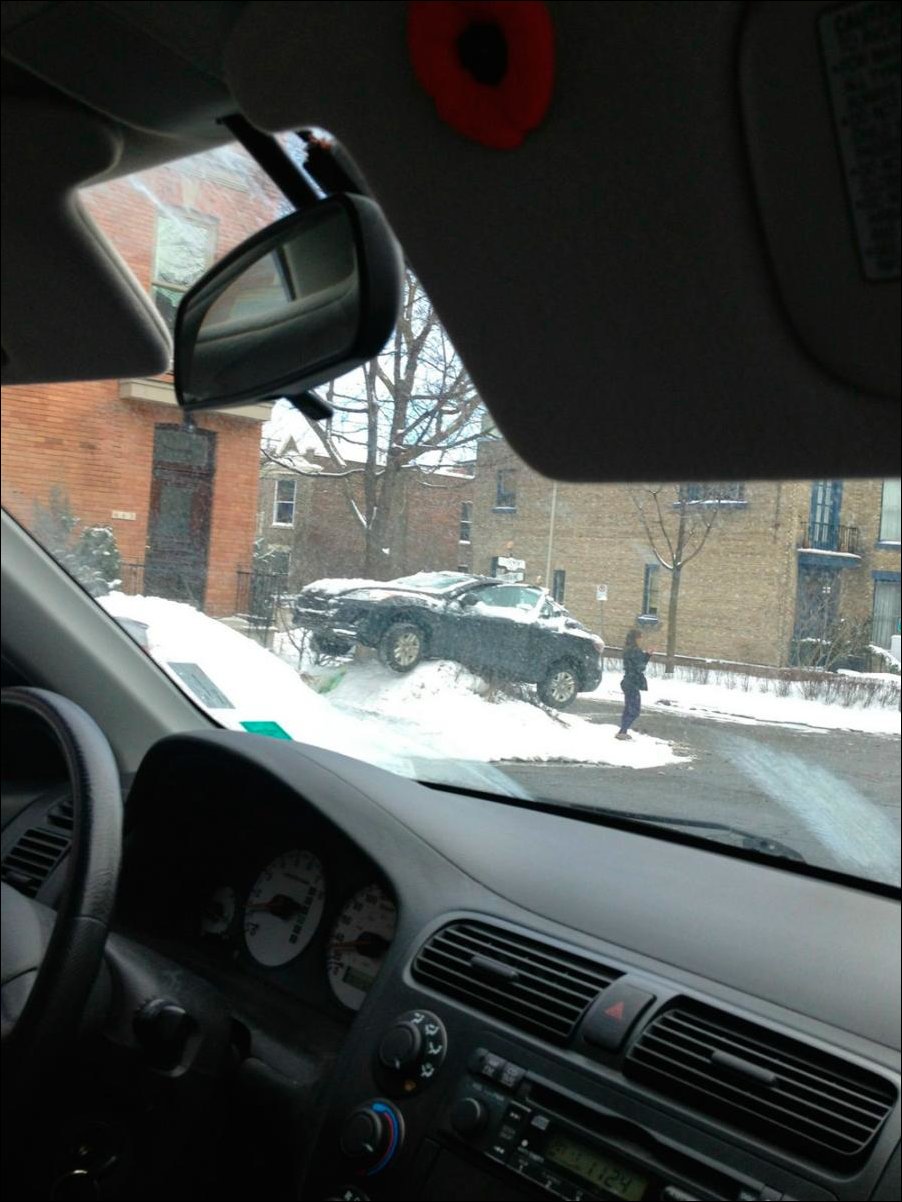 Подборка фотографий