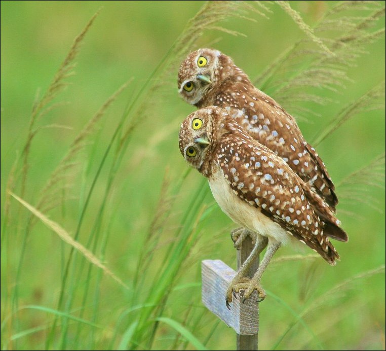 Подборка фотографий