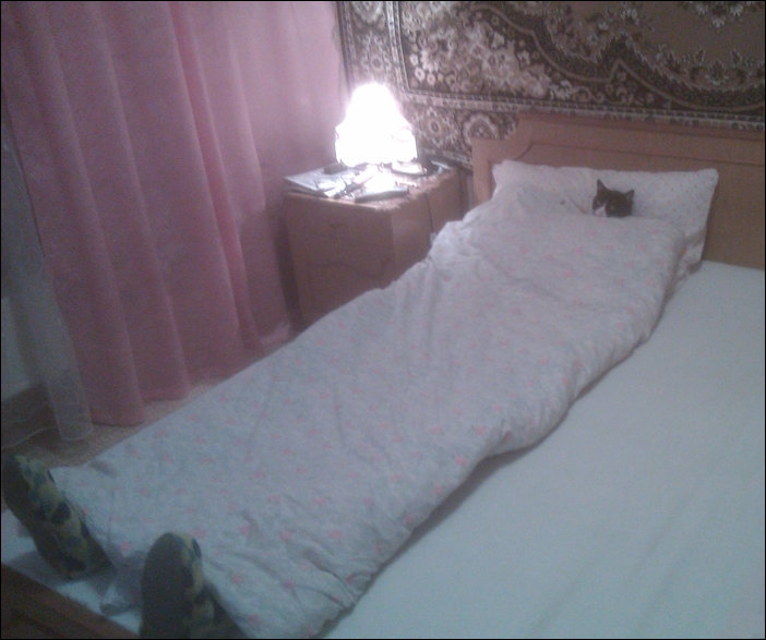 Подборка фотографий