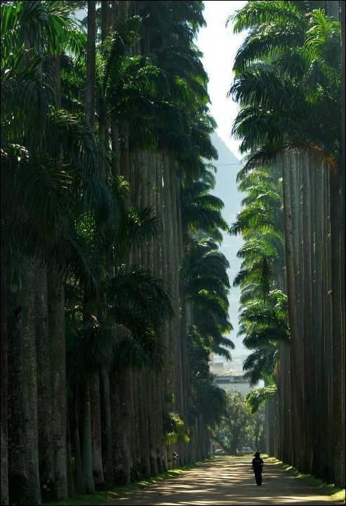 Подборка фотографий