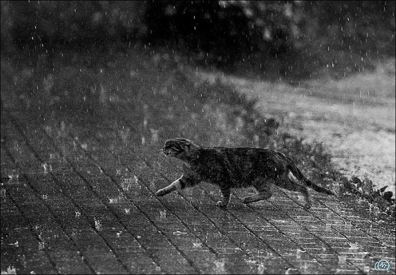 Подборка фотографий