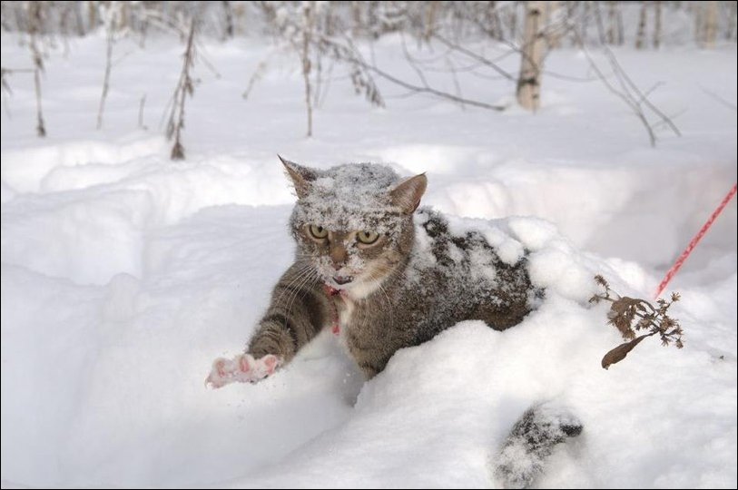 Подборка фотографий