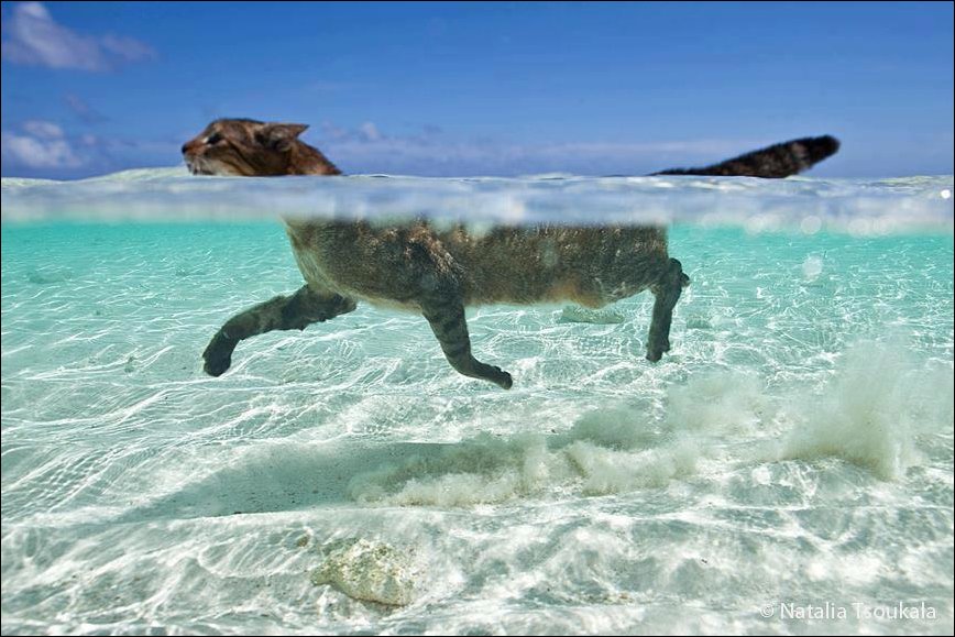 Подборка фотографий