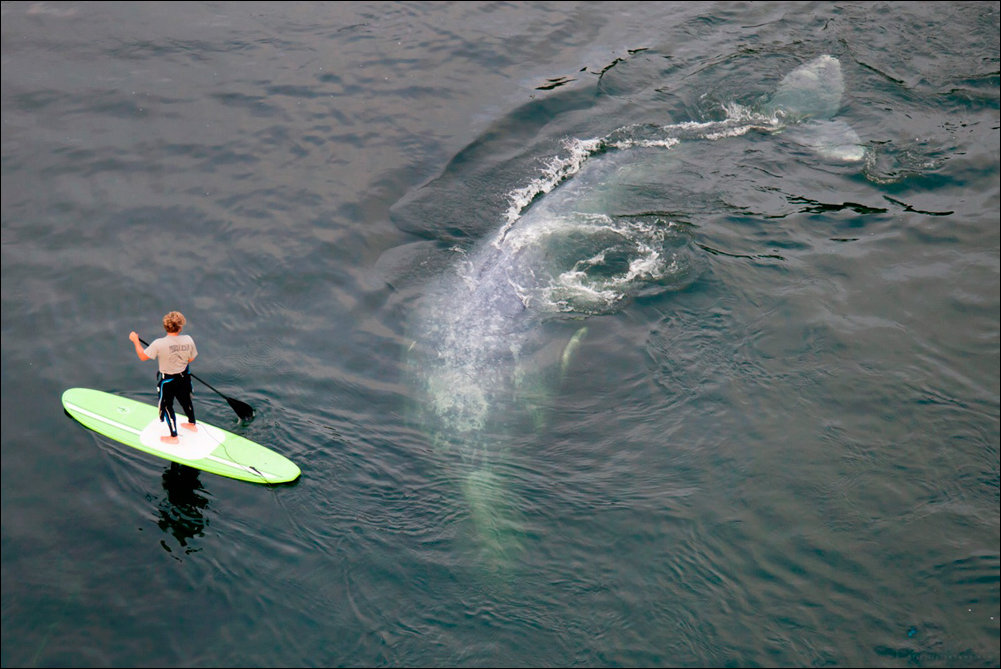Подборка фотографий