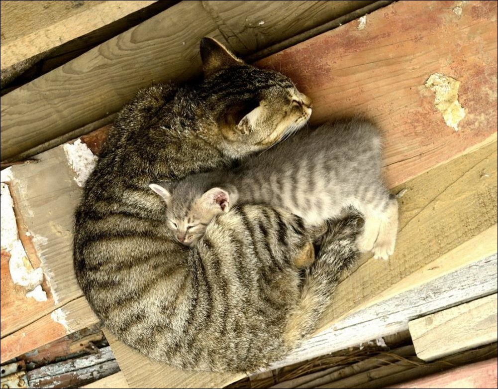 Подборка фотографий