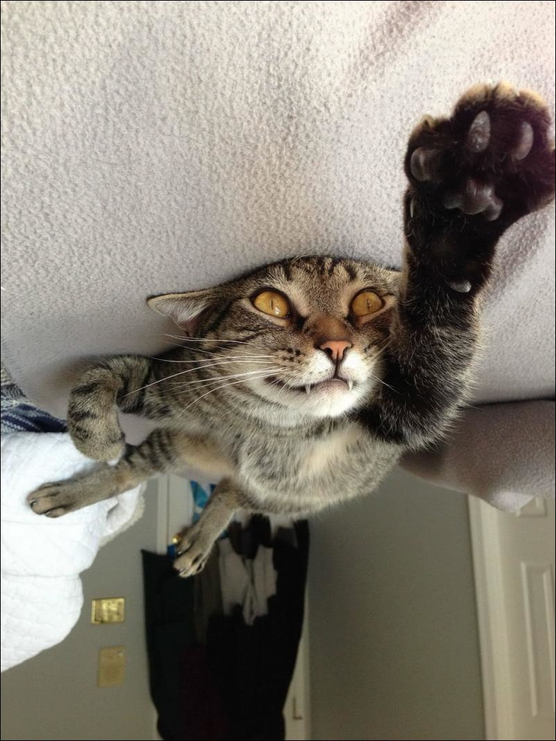 Подборка фотографий