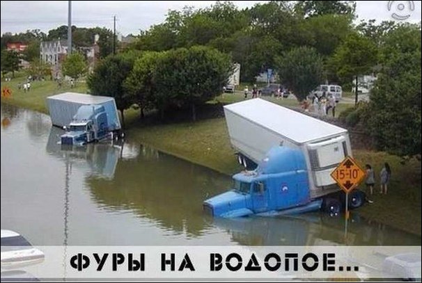 Подборка фотографий