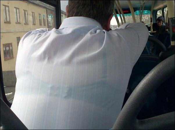 Подборка фотографий