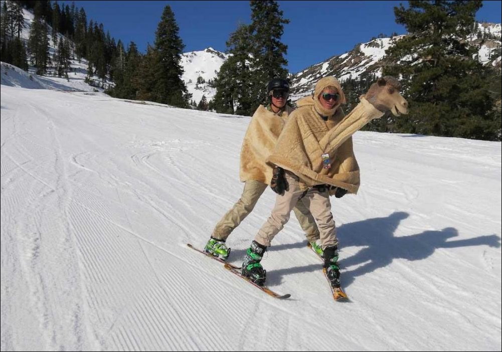 Подборка фотографий
