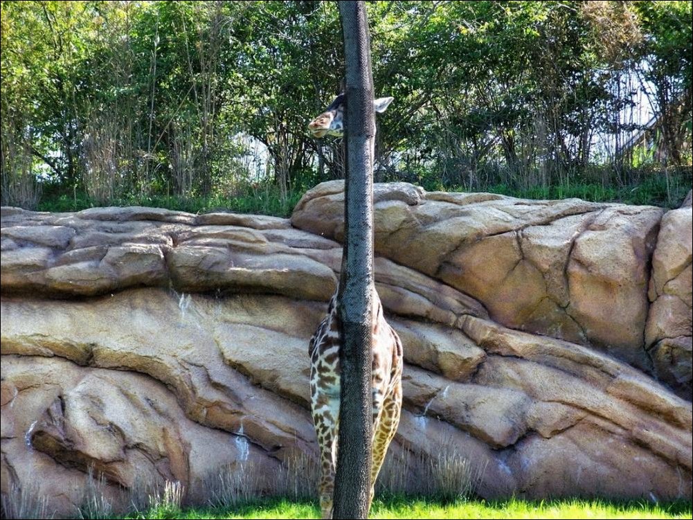 Подборка фотографий