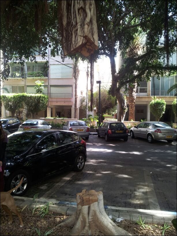 Подборка фотографий