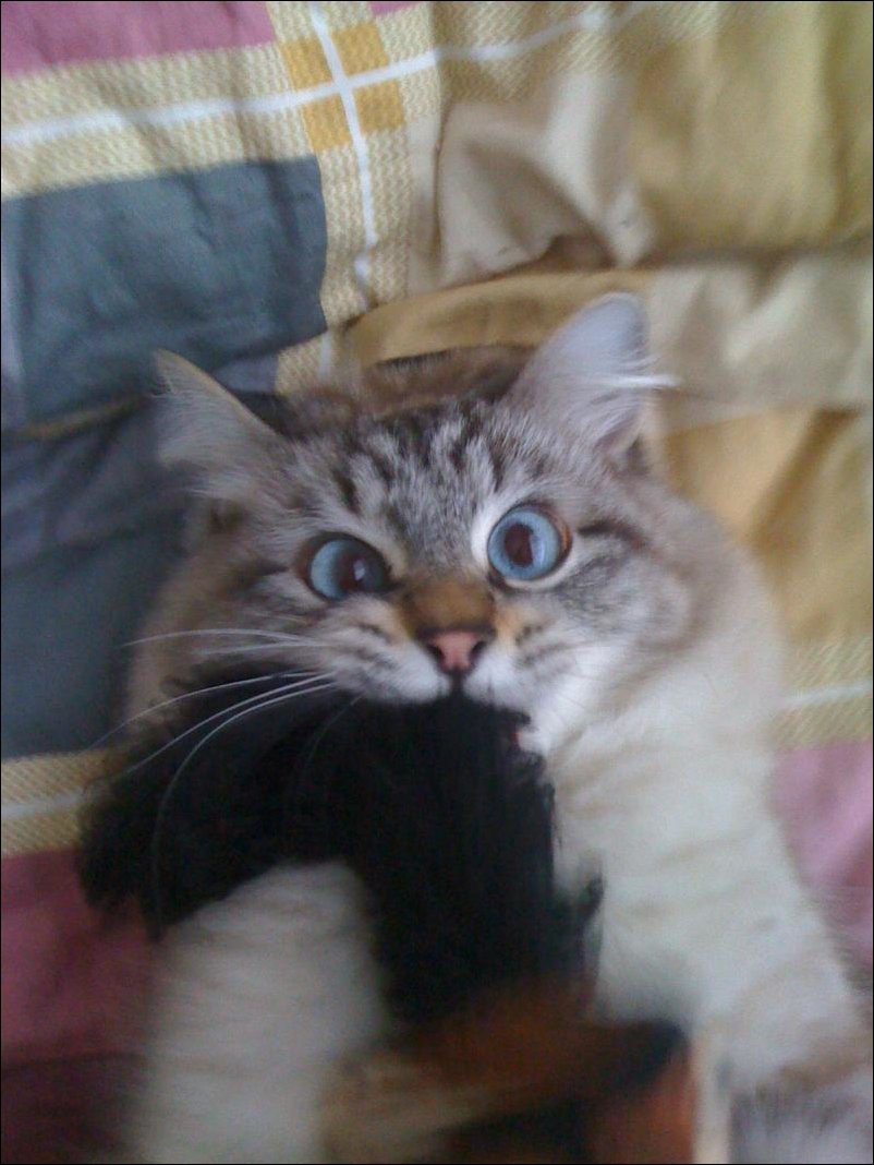 Подборка фотографий