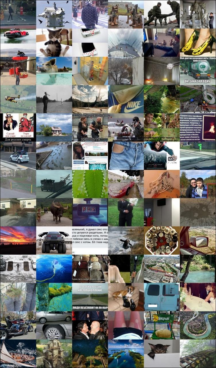 Подборка фотографий