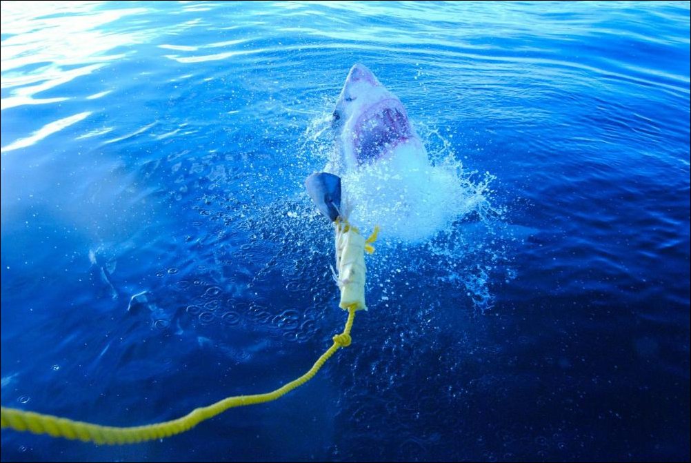 Подборка фотографий