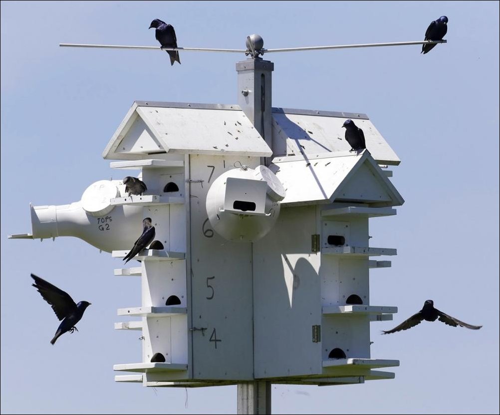 Подборка фотографий