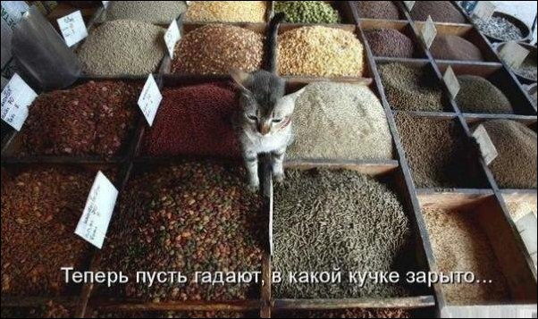 Подборка фотографий