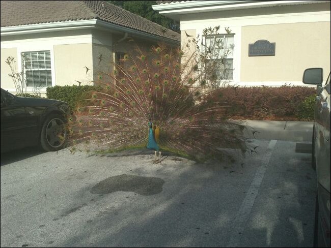 Подборка фотографий