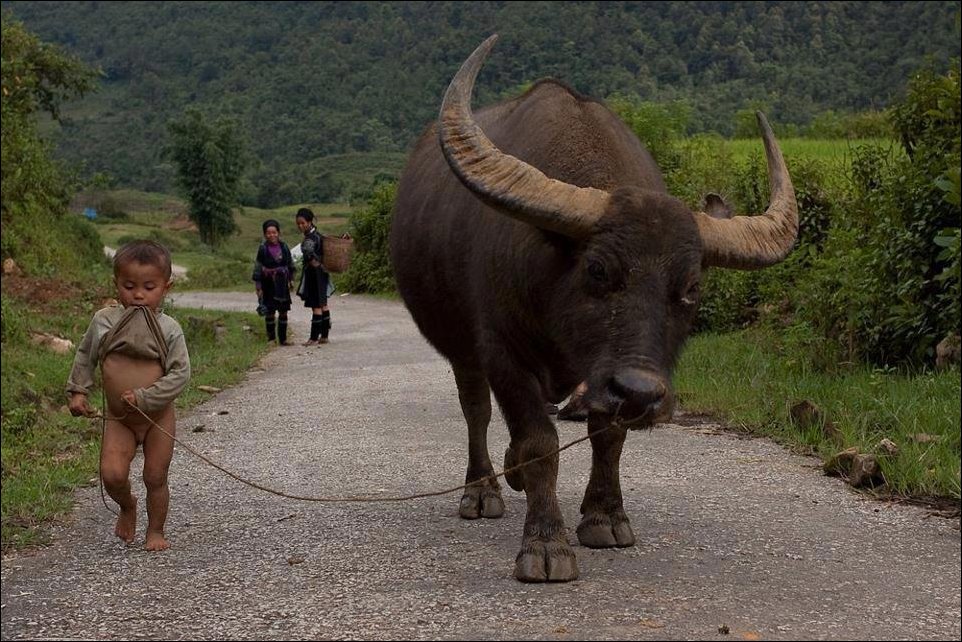 Подборка фотографий