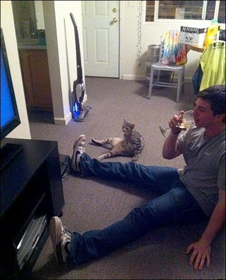 Подборка фотографий