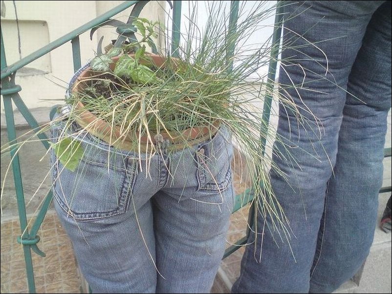 Подборка фотографий