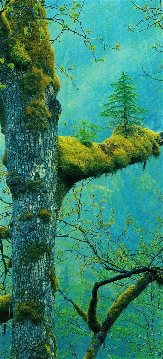 Подборка фотографий