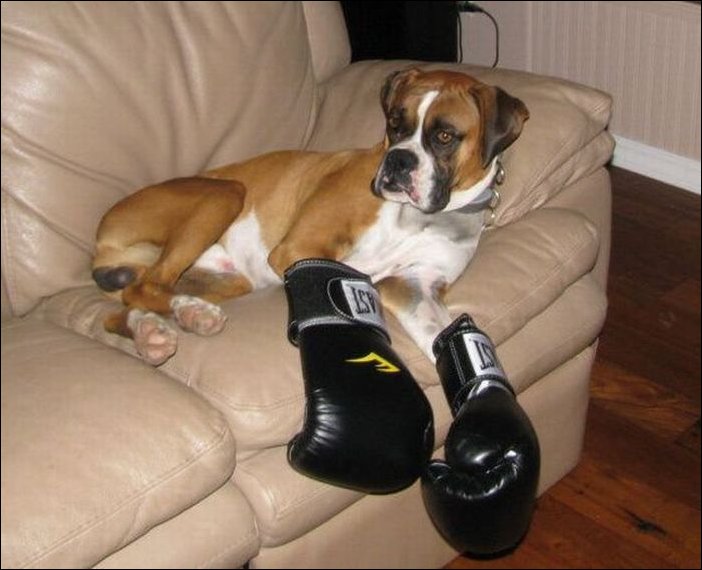 Подборка фотографий