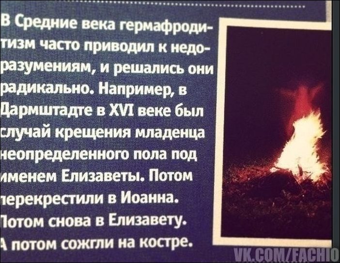 Подборка фотографий