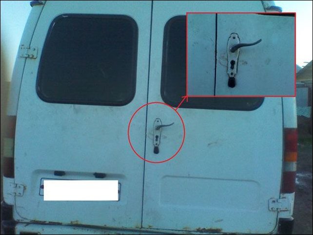 Подборка фотографий