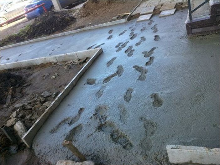 Подборка фотографий