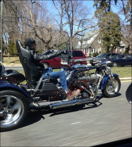 Подборка фотографий