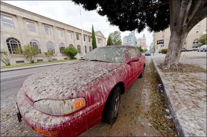 Подборка фотографий